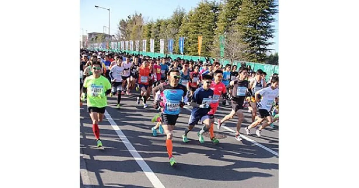 【ふるさと納税】杉戸町新春マラソン大会 出走権利 (一般男女3km)【クレジットカード決済限定】[0351]