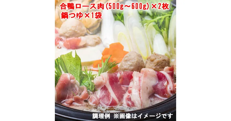 【ふるさと納税】鴨鍋セット (合鴨ロース肉450g×2枚、鍋つゆ×1袋 3～4人前) [0396]