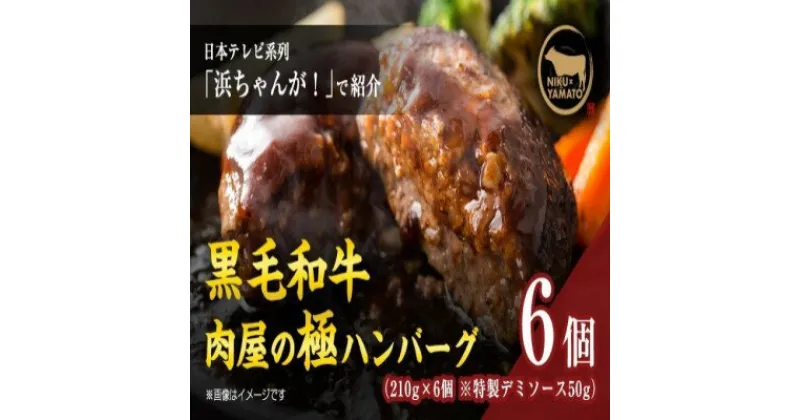 【ふるさと納税】自家製ー極ーハンバーグ（6個入り）【 お肉 ハンバーグ 真空冷凍 】　 お肉 ハンバーグ 真空冷凍