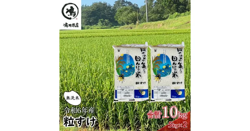 【ふるさと納税】米 令和6年 新品種 粒すけ 10kg （ 5kg×2 ） 千葉産 乾式 無洗米　【 お米 こめ コメ おこめ 】　 お米 こめ コメ おこめ