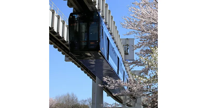 【ふるさと納税】貸切列車（お手軽プラン）【 体験チケット 貸切列車 チケット モノレール 】　 体験チケット 貸切列車 チケット モノレール