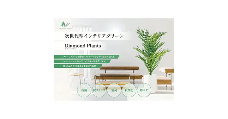 【ふるさと納税】次世代型インテリアグリーン　DiamondPlants　Grande【リビング 寝室】　 インテリア ナノダイヤモンド 触媒 コーティングして 抗菌 抗ウィルス 消臭 防カビ 抗酸化作用 次世代型 植物