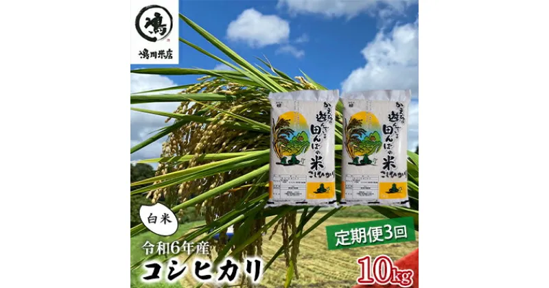 【ふるさと納税】令和6年産　3ヶ月定期便　コシヒカリ　白米　10kg（5kg×2）【定期便 お米 白米 粘り甘み】　定期便・ お米 精米 粘りつやつや 甘み 美味しい 新鮮 　お届け：2025年8月31日まで