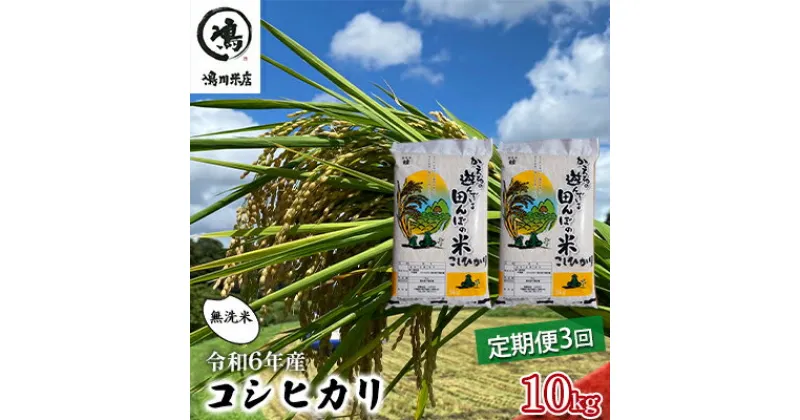 【ふるさと納税】令和6年産　3ヶ月定期便　コシヒカリ　無洗米　10kg（5kg×2）【定期便 お米 白米 粘り甘み】　定期便・ お米 精米 粘りつやつや 甘み 美味しい 新鮮 　お届け：2025年8月31日まで