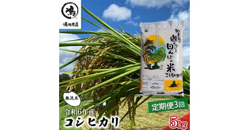 【ふるさと納税】令和6年産　3ヶ月定期便　コシヒカリ　無洗米　5kg　【定期便 お米 白米 粘り甘み】　定期便・ お米 精米 粘りつやつや 甘み 美味しい 新鮮 　お届け：2025年8月31日まで