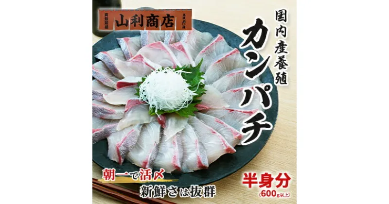 【ふるさと納税】千葉市場直送　朝一活〆！カンパチ半身分（スキンレスロイン）　 魚貝類 冷蔵 柵 新鮮 刺身 養殖カンパチ しゃぶしゃぶ かんぱちの刺身 つまみ 肴 　お届け：2024年1月中旬～2024年12月下旬