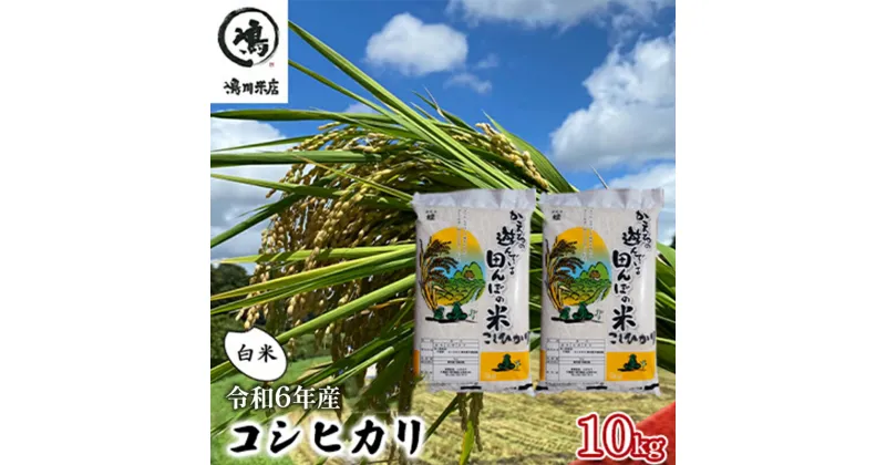 【ふるさと納税】コシヒカリ　白米　10kg（5kg×2）令和6年産　 お米 精米 ご飯 コシヒカリ 美味しい 粘り つやつや 甘み 　お届け：2024年8月中旬～2025年8月下旬まで