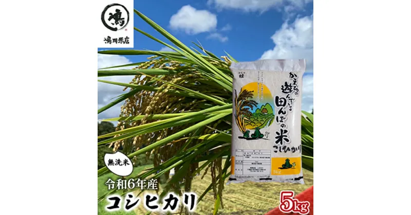 【ふるさと納税】コシヒカリ 乾式無洗米 5kg 令和6年産　 お米 精米 ご飯 コシヒカリ 美味しい 粘り つやつや 甘み 　お届け：2024年8月中旬～2025年8月下旬まで