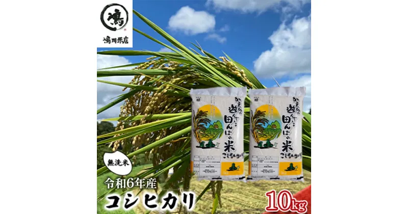 【ふるさと納税】コシヒカリ 乾式無洗米 10kg（5kg×2）令和6年産　 お米 精米 ご飯 コシヒカリ 美味しい 粘り つやつや 甘み 　お届け：2024年8月中旬～2025年8月下旬まで