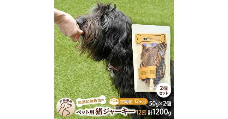 【ふるさと納税】（12回定期便）千葉県で獲れた猪ペット用ジャーキー(2個セット）100g　定期便・ ペット用品 ペットフード ペットのおやつ おやつ ご褒美 猫用 犬用 無添加 無着色 猪肉 猪肉ジャーキー