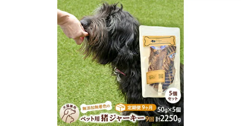 【ふるさと納税】（9回定期便）千葉県で獲れた猪ペット用ジャーキー(5個セット）250g　定期便・ ペット用品 ペットフード ペットのおやつ おやつ ご褒美 猫用 犬用 無添加 無着色 猪肉 猪肉ジャーキー