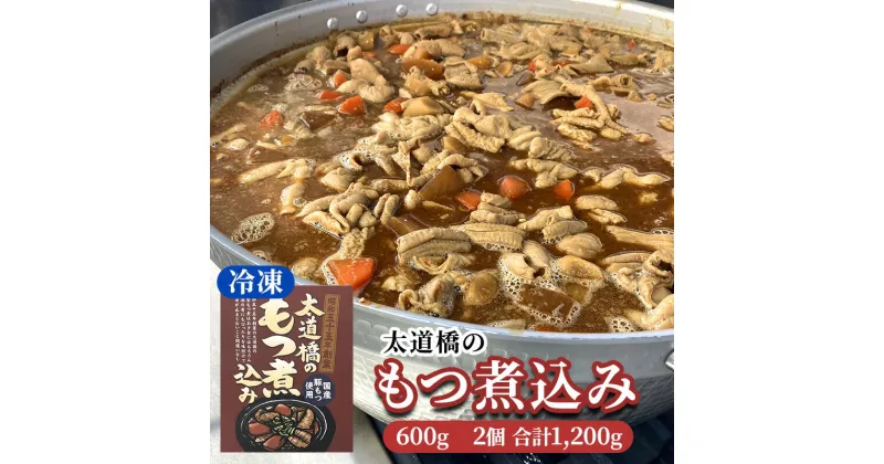 【ふるさと納税】太道橋のもつ煮込み（冷凍）600g　2個　加工品・惣菜・冷凍