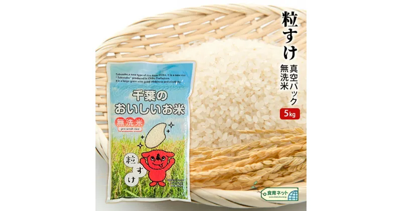 【ふるさと納税】粒すけ　真空パック　5キロ　無洗米　 お米 銘柄米 ご飯 おにぎり お弁当 和食 白米 精米