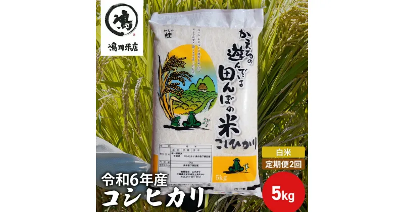 【ふるさと納税】【定期2ヶ月】新米　コシヒカリ　白米　5kg　令和6年産　定期便・ お米 銘柄米 ご飯 おにぎり お弁当 和食 食卓 精米 国産 千葉県産 産地直送