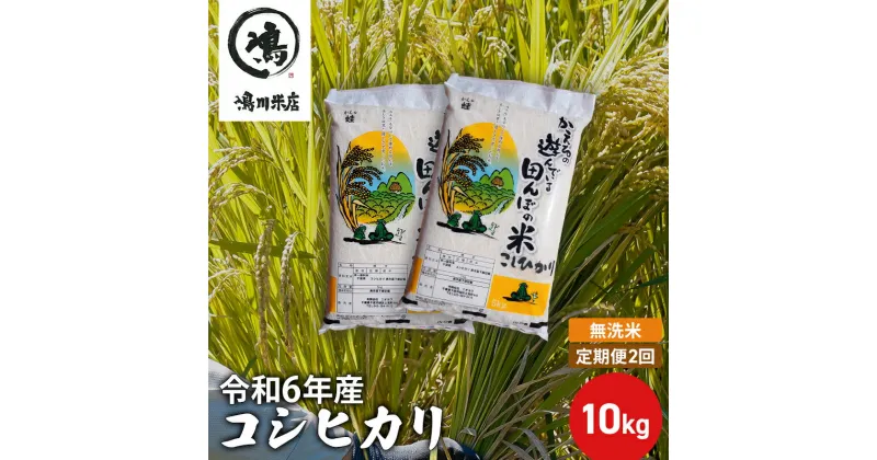 【ふるさと納税】【定期2ヶ月】新米 コシヒカリ 乾式無洗米 10kg（5kg×2）令和6年産　定期便・ お米 銘柄米 ご飯 おにぎり お弁当 和食 食卓 精米 国産 千葉県産 産地直送