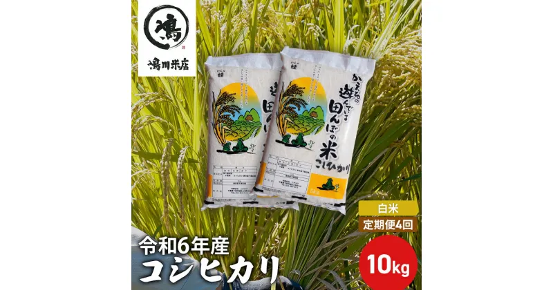 【ふるさと納税】【定期4ヶ月】新米 コシヒカリ　白米　10kg（5kg×2）令和6年産　定期便・ お米 銘柄米 ご飯 おにぎり お弁当 和食 食卓 精米 国産 千葉県産 産地直送