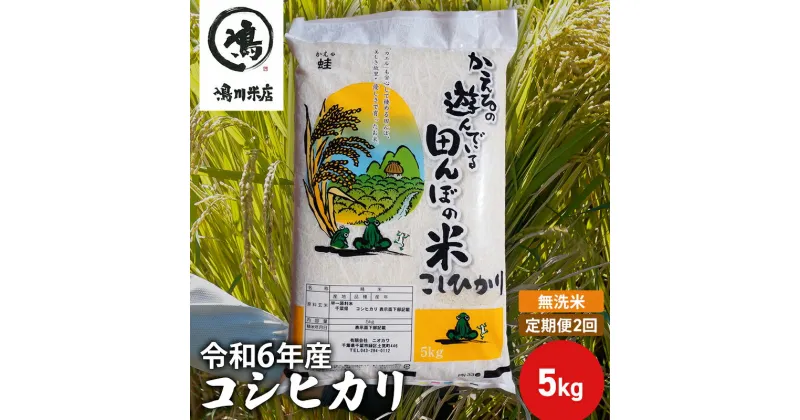 【ふるさと納税】【定期2ヶ月】新米 コシヒカリ 乾式無洗米 5kg 令和6年産　定期便・ お米 銘柄米 ご飯 おにぎり お弁当 和食 食卓 精米 国産 千葉県産 産地直送