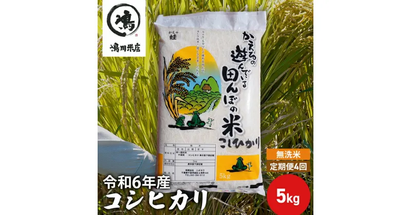 【ふるさと納税】【定期4ヶ月】新米 コシヒカリ 乾式無洗米 5kg 令和6年産　定期便・ お米 銘柄米 ご飯 おにぎり お弁当 和食 食卓 精米 国産 千葉県産 産地直送