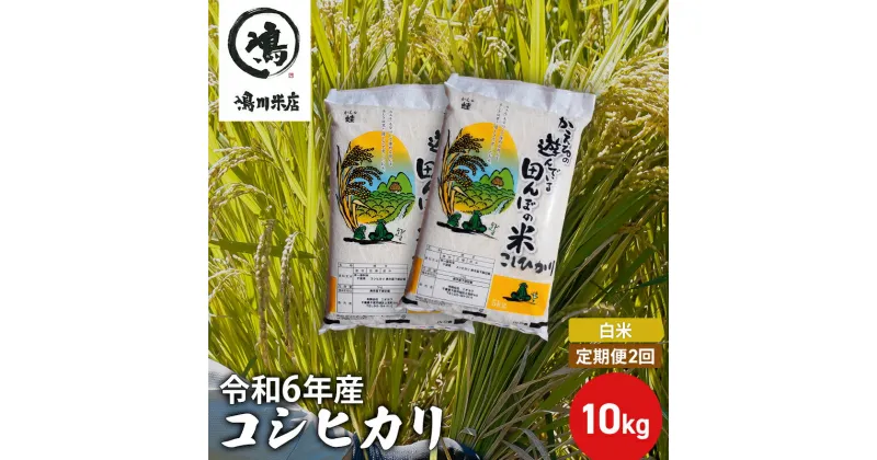 【ふるさと納税】【定期2ヶ月】新米 コシヒカリ　白米　10kg（5kg×2）令和6年産　定期便・ お米 銘柄米 ご飯 おにぎり お弁当 和食 食卓 精米 国産 千葉県産 産地直送