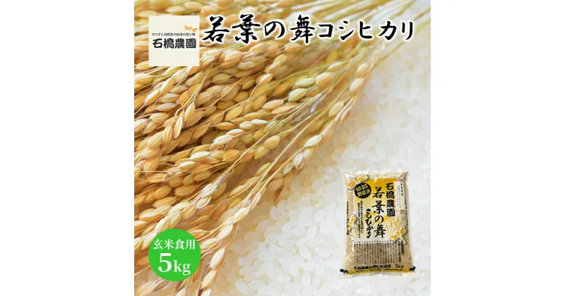 【ふるさと納税】米 若葉の舞 コシヒカリ 玄米食用5kg こしひかり お米 玄米 千葉 千葉県 低温保存