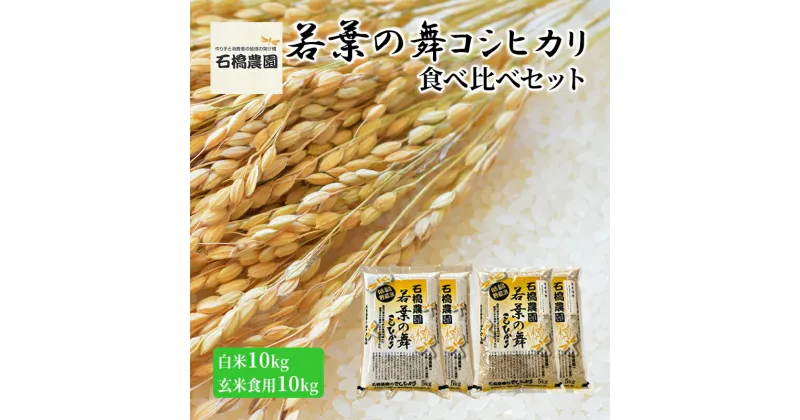 【ふるさと納税】米 若葉の舞 コシヒカリ 白米10kg玄米食用10kg 食べ比べセット こしひかり お米 白米 玄米 セット 食べ比べ 精米 千葉 千葉県 低温保存