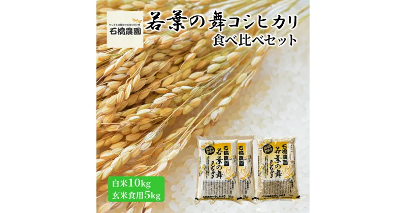 【ふるさと納税】米 若葉の舞 コシヒカリ 白米10kg玄米食用5kg 食べ比べセット こしひかり お米 白米 玄米 セット 食べ比べ 精米 千葉 千葉県 低温保存