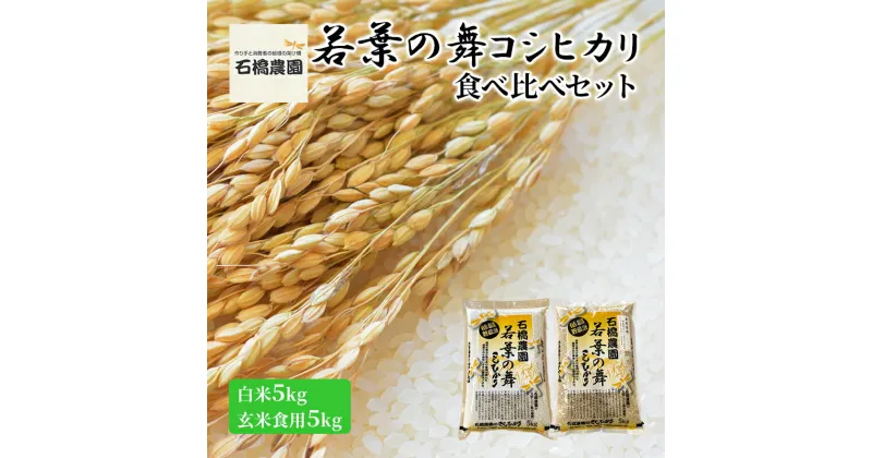 【ふるさと納税】米 若葉の舞 コシヒカリ 白米5kg玄米食用5kg 食べ比べセット こしひかり お米 白米 玄米 セット 食べ比べ 精米 千葉 千葉県 低温保存