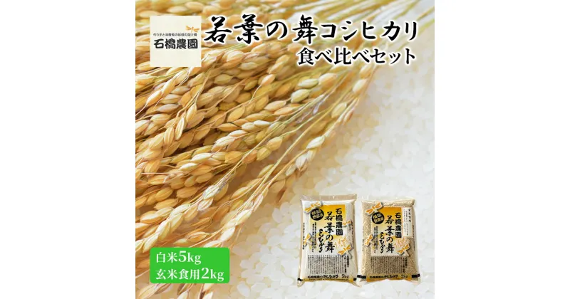 【ふるさと納税】米 若葉の舞 コシヒカリ 白米5kg玄米食用2kg 食べ比べセット こしひかり お米 白米 玄米 セット 食べ比べ 精米 千葉 千葉県 低温保存