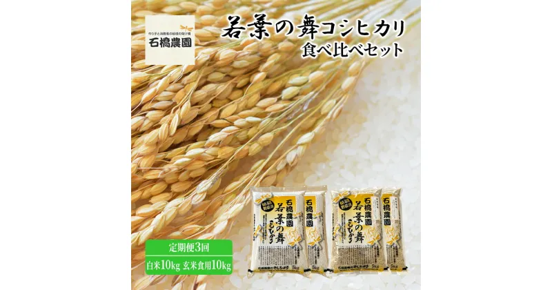 【ふるさと納税】米 若葉の舞 コシヒカリ 白米10kg玄米食用10kg 食べ比べセット 定期便3回 こしひかり お米 白米 玄米 セット 食べ比べ 定期便 精米 千葉 千葉県 低温保存　定期便