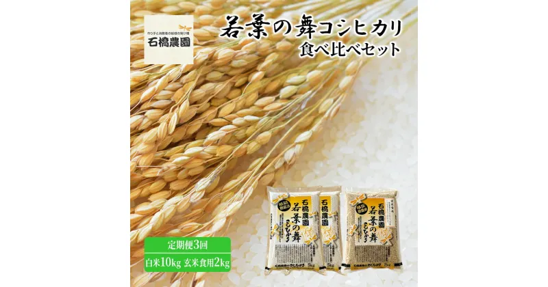 【ふるさと納税】米 若葉の舞 コシヒカリ 白米10kg玄米食用2kg 食べ比べセット 定期便3回 こしひかり お米 白米 玄米 セット 食べ比べ 定期便 精米 千葉 千葉県 低温保存　定期便