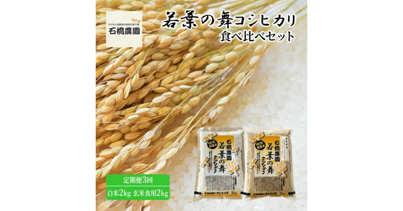 【ふるさと納税】米 若葉の舞 コシヒカリ 白米2kg玄米食用2kg 食べ比べセット 定期便3回 こしひかり お米 白米 玄米 セット 食べ比べ 定期便 精米 千葉 千葉県 低温保存　定期便