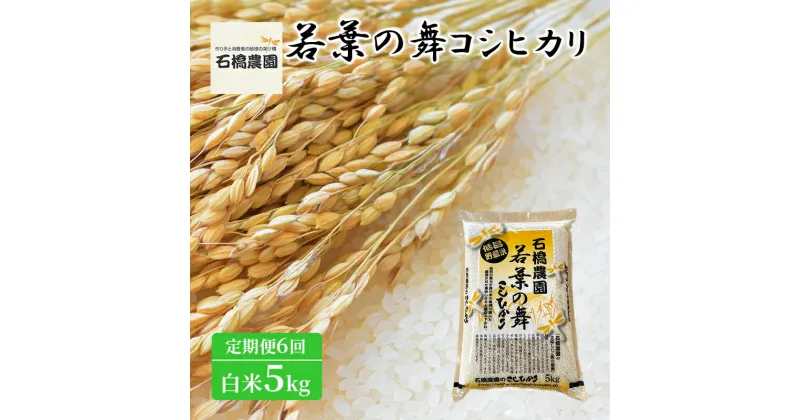 【ふるさと納税】米 若葉の舞 コシヒカリ 白米5kg 定期便6回 こしひかり お米 白米 定期便 精米 千葉 千葉県 低温保存　定期便