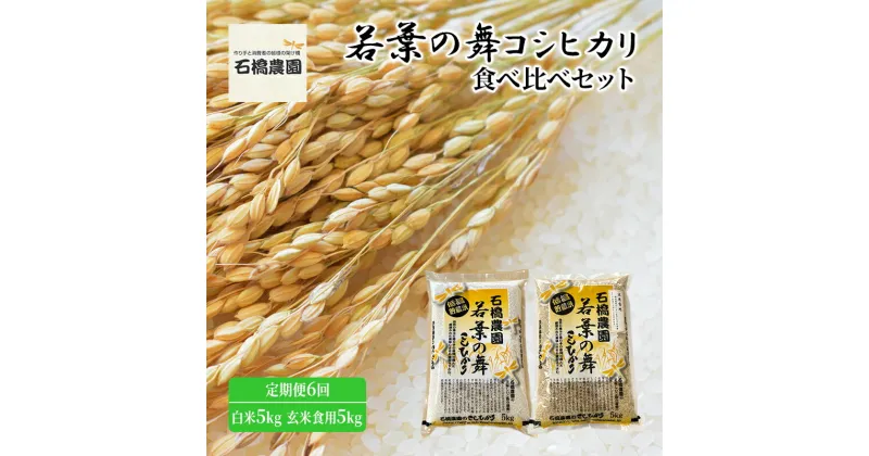 【ふるさと納税】米 若葉の舞 コシヒカリ 白米5kg玄米食用5kg 食べ比べセット 定期便6回 こしひかり お米 白米 玄米 セット 食べ比べ 定期便 精米 千葉 千葉県 低温保存　定期便