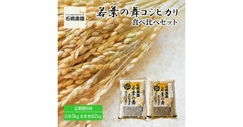 【ふるさと納税】米 若葉の舞 コシヒカリ 白米5kg玄米食用2kg 食べ比べセット 定期便6回 こしひかり お米 白米 玄米 セット 食べ比べ 定期便 精米 千葉 千葉県 低温保存　定期便