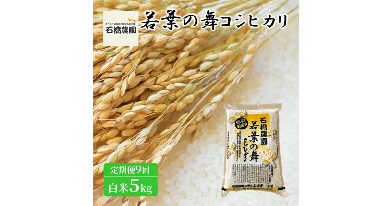 【ふるさと納税】米 若葉の舞 コシヒカリ 白米5kg 定期便9回 こしひかり お米 白米 定期便 精米 千葉 千葉県 低温保存　定期便