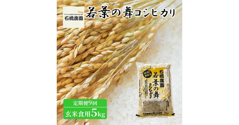 【ふるさと納税】米 若葉の舞 コシヒカリ 玄米食用5kg 定期便9回 こしひかり お米 玄米 定期便 千葉 千葉県 低温保存　定期便