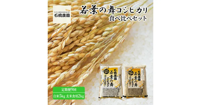 【ふるさと納税】米 若葉の舞 コシヒカリ 白米5kg玄米食用2kg 食べ比べセット 定期便9回 こしひかり お米 白米 玄米 セット 食べ比べ 定期便 精米 千葉 千葉県 低温保存　定期便