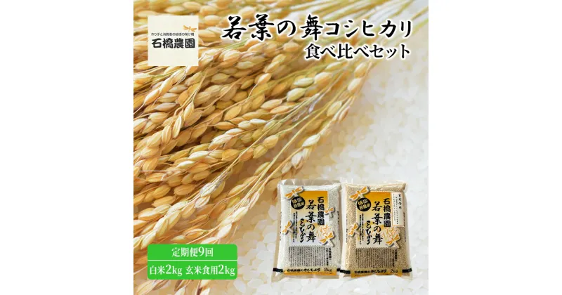 【ふるさと納税】米 若葉の舞 コシヒカリ 白米2kg玄米食用2kg 食べ比べセット 定期便9回 こしひかり お米 白米 玄米 セット 食べ比べ 定期便 精米 千葉 千葉県 低温保存　定期便