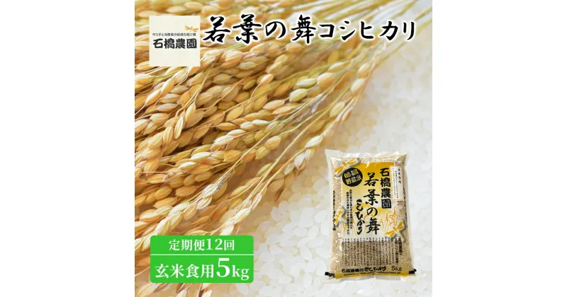 【ふるさと納税】米 若葉の舞 コシヒカリ 玄米食用5kg 定期便12回 こしひかり お米 玄米 定期便 千葉 千葉県 低温保存　定期便