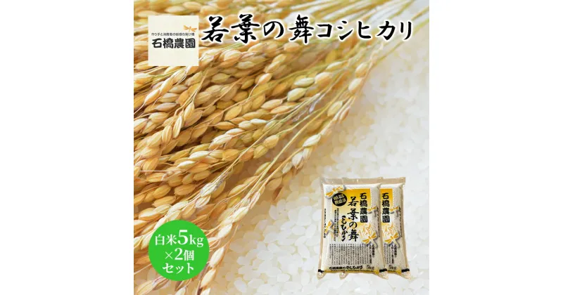 【ふるさと納税】米 若葉の舞 コシヒカリ 白米5kg×2個セット こしひかり セット お米 白米 精米 千葉 千葉県 低温保存