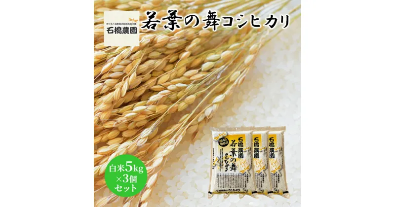 【ふるさと納税】米 若葉の舞 コシヒカリ 白米5kg×3個セット こしひかり セット お米 白米 精米 千葉 千葉県 低温保存