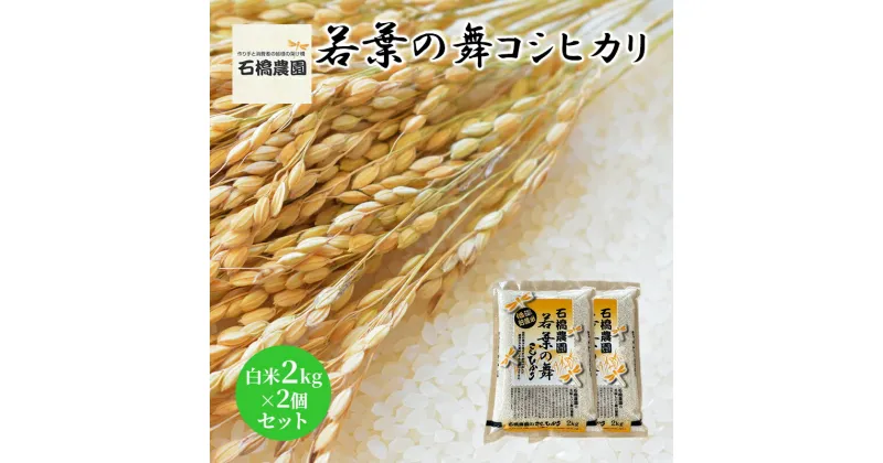 【ふるさと納税】米 若葉の舞 コシヒカリ 白米2kg×2個セット こしひかり セット お米 白米 精米 千葉 千葉県 低温保存