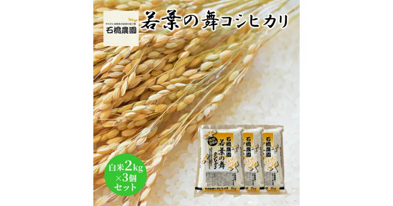 【ふるさと納税】米 若葉の舞 コシヒカリ 白米2kg×3個セット こしひかり セット お米 白米 精米 千葉 千葉県 低温保存