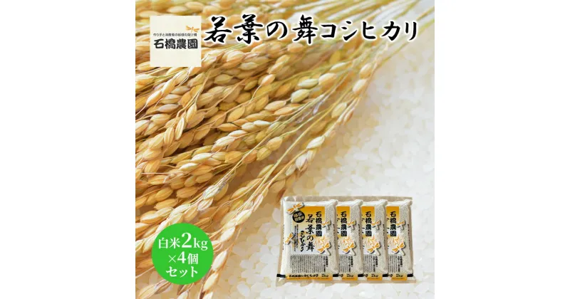 【ふるさと納税】米 若葉の舞 コシヒカリ 白米2kg×4個セット こしひかり セット お米 白米 精米 千葉 千葉県 低温保存