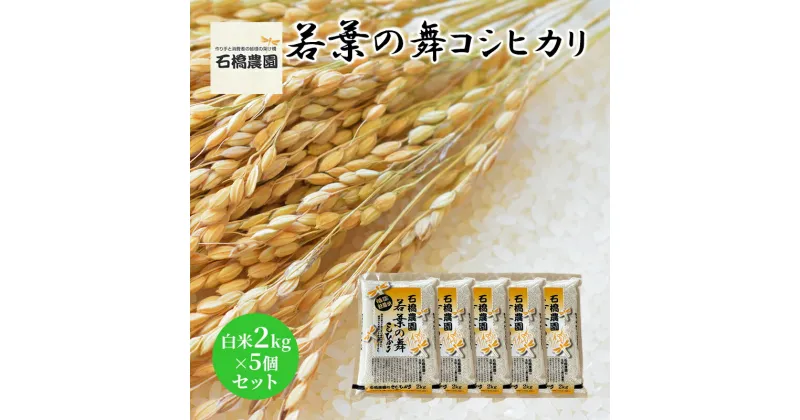 【ふるさと納税】米 若葉の舞 コシヒカリ 白米2kg×5個セット こしひかり セット お米 白米 精米 千葉 千葉県 低温保存