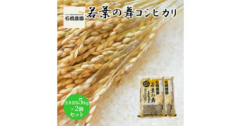 【ふるさと納税】米 若葉の舞 コシヒカリ 玄米食用5kg×2個セット こしひかり セット お米 玄米 千葉 千葉県 低温保存