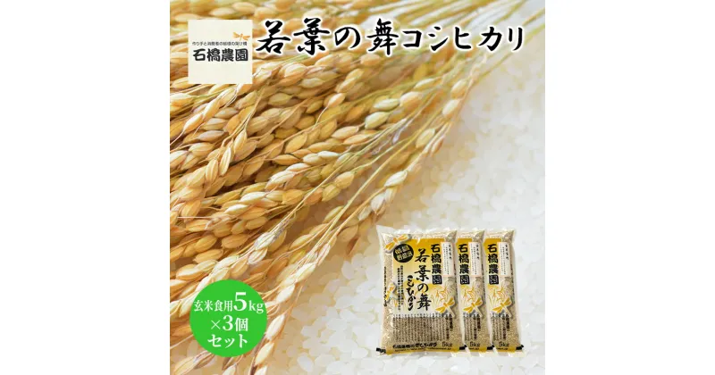 【ふるさと納税】米 若葉の舞 コシヒカリ 玄米食用5kg×3個セット こしひかり セット お米 玄米 千葉 千葉県 低温保存