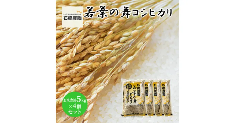 【ふるさと納税】米 若葉の舞 コシヒカリ 玄米食用5kg×4個セット こしひかり セット お米 玄米 千葉 千葉県 低温保存