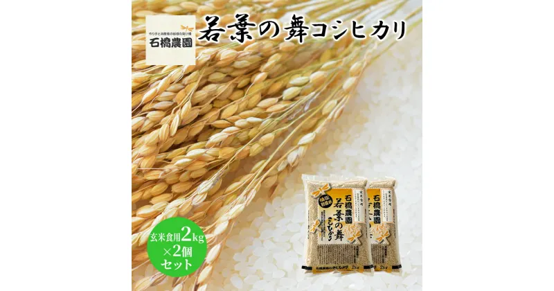 【ふるさと納税】米 若葉の舞 コシヒカリ 玄米食用2kg×2個セット こしひかり セット お米 玄米 千葉 千葉県 低温保存