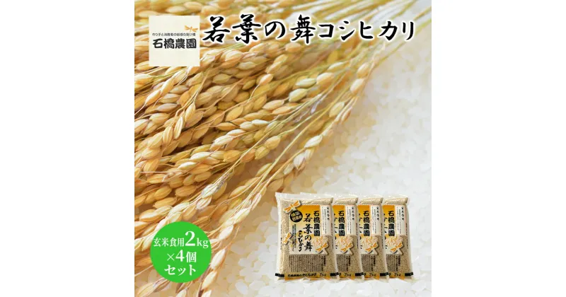 【ふるさと納税】米 若葉の舞 コシヒカリ 玄米食用2kg×4個セット こしひかり セット お米 玄米 千葉 千葉県 低温保存